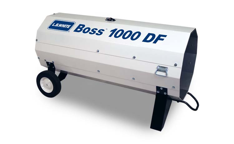 Boss1000-df.jpg